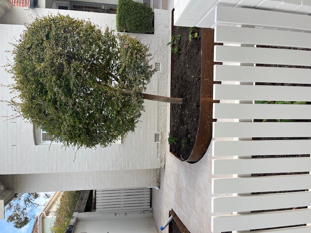 Front Facade Renovation and Landscaping
