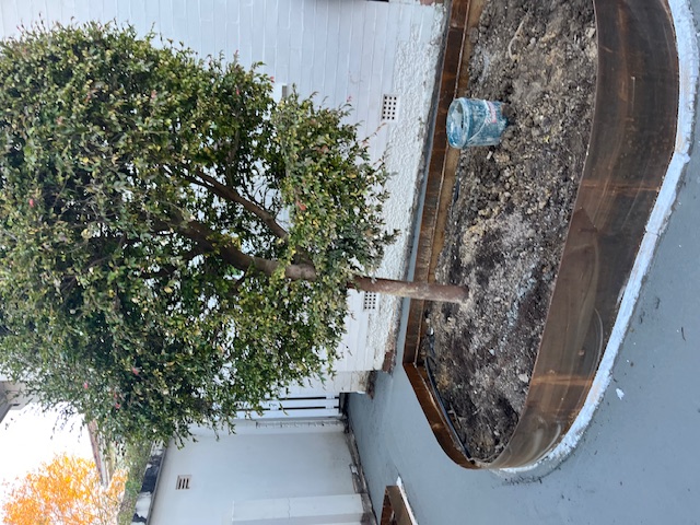Front Facade Renovation and Landscaping