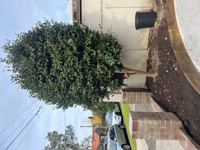 Front Facade Renovation and Landscaping