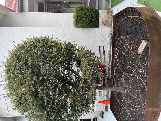 Front Facade Renovation and Landscaping