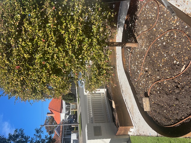 Front Facade Renovation and Landscaping